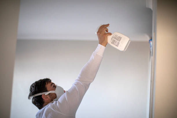 Best Fast Mold Removal  in Wellman, IA