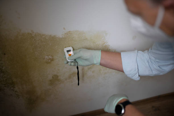 Water Damage Restoration in Wellman, IA