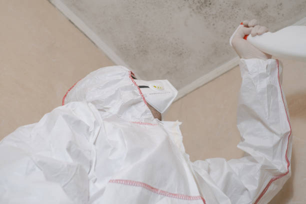 Best Commercial Mold Removal  in Wellman, IA